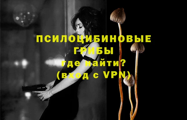 apvp Армянск