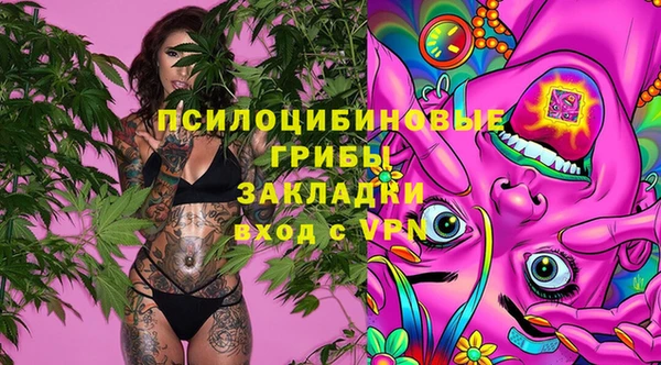 меф Арсеньев
