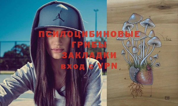 apvp Армянск