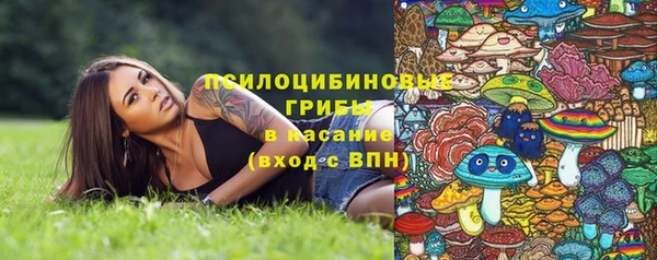 apvp Армянск