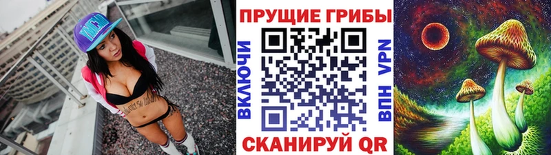 Галлюциногенные грибы GOLDEN TEACHER  где найти   Губаха 